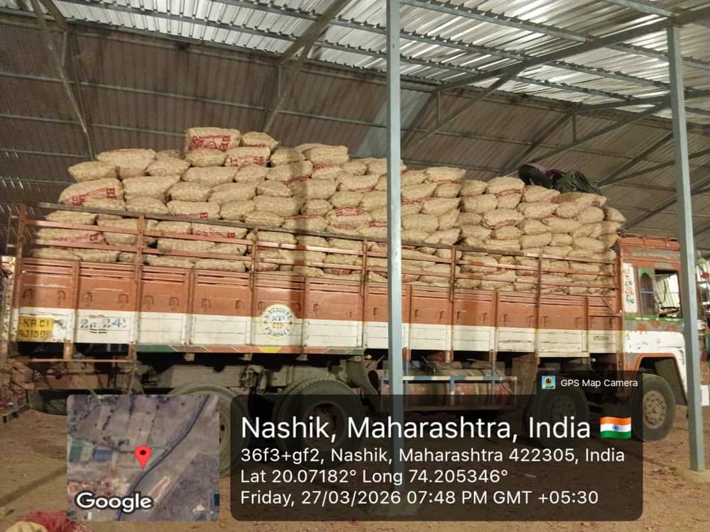 Container loading and reefer handling of produce at port — photo 6